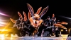 Amazing Naruto Dance Crew Competition Performance